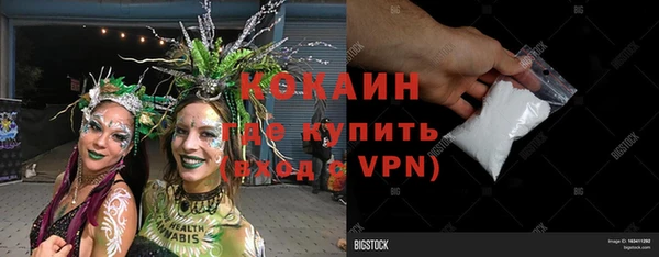 дживик Пестово