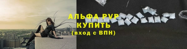 ПСИЛОЦИБИНОВЫЕ ГРИБЫ Переславль-Залесский
