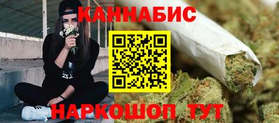 сатива Канаш