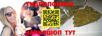 дмт Кандалакша