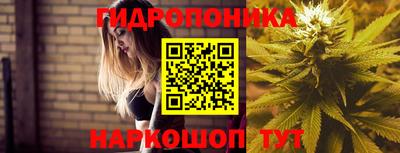 сатива Канаш