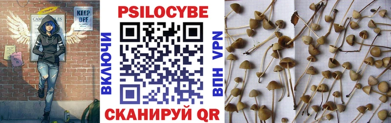 hydra Лангепас Псилоцибиновые грибы Psilocybine cubensis