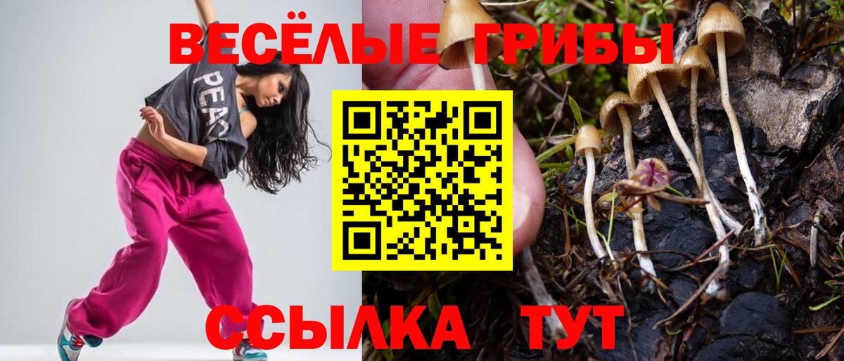 Галлюциногенные грибы Cubensis Лангепас