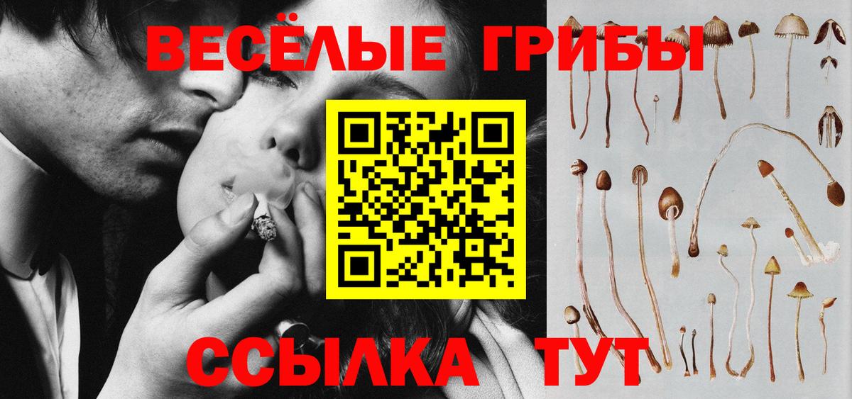 Галлюциногенные грибы Psilocybine cubensis  Вход с VPN  Лангепас 